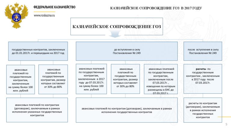 Что такое казначейское сопровождение 2018 Что такое казначейское сопровождение 2018